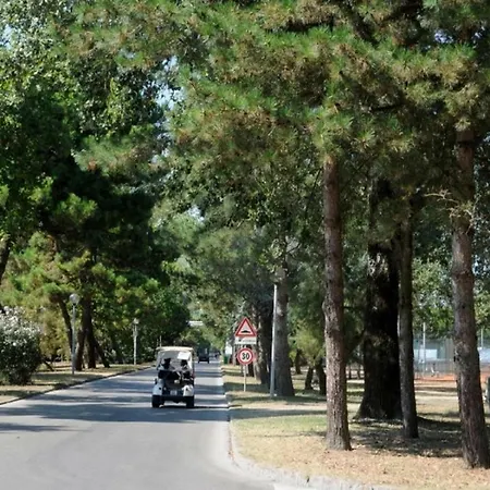فيلة Fiordo Topazio Albarella Island